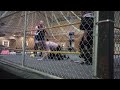 The angel of death john rare vs blaine evans inside of a steel cage  camera 2