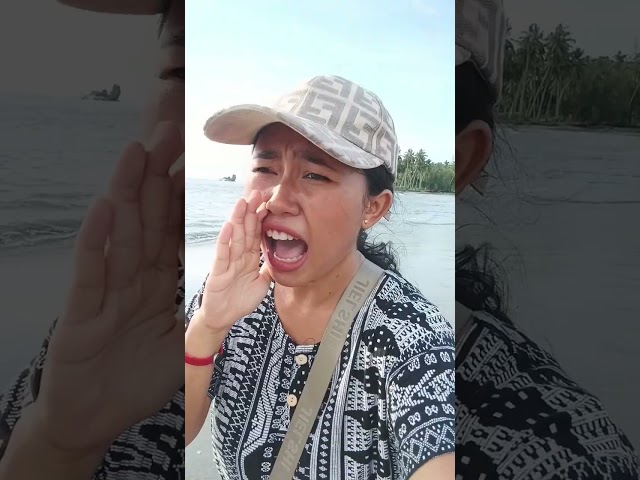 Mama Ara Cari Dedek Dan Abang  Baik Di Pulau Pane? Dimana Ya Mereka? 🏝🤷‍♀️ class=