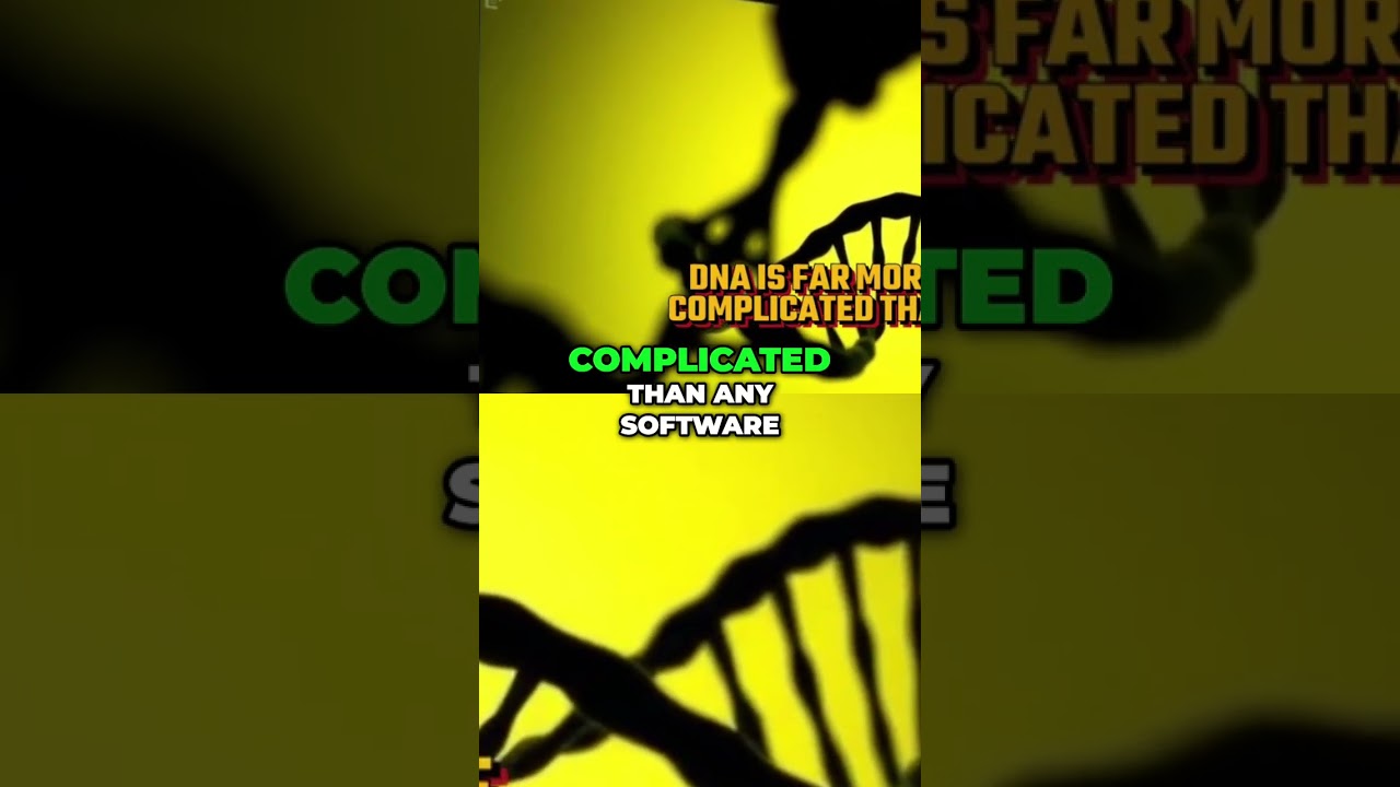 Intelligent Design: The Rational Watchmaker Principle