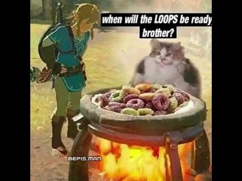 when-will-the-loops-be-ready,-brother?-🥣🐱🥣