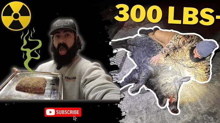 Are BIG Nasty Wild Boars Edible? | 300lb Wild Hog Taste Test