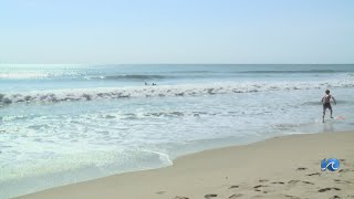 Sandbridge beach goers undeterred by recent marine life bite reports