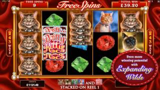 Pretty Kitty Slot - Microgaming Promo(Pretty Kitty is a forthcoming online slot from Microgaming featuring a 5x3 reel layout and 243 way payline structure featuring expanding symbols and expanding ..., 2016-04-20T14:24:09.000Z)