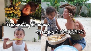 Harvesting Our Bananas For Merienda Ginanggang