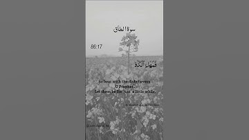 Surah At-Tariq Ayat No 86:15.16.17  | Arabic Text | سورة الطارق | With English Translation