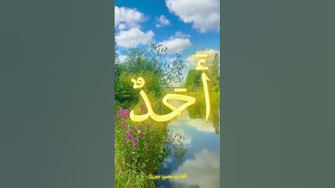 سورة الإخلاص❤️🥰 #الله #allah #القرآن_الكريم #quran #islam #اكسبلور #explore #fyp #capcut #يارب