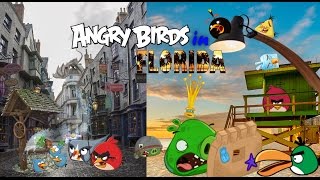 Angry Birds in Florida