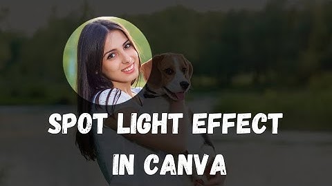 How  to Make Spotlight Animation Effect in Canva