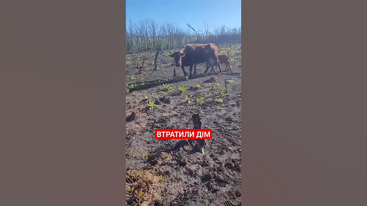 Сумна буденність війни