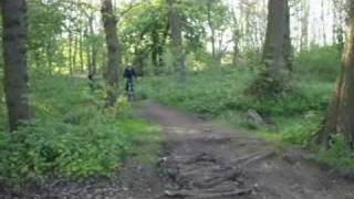 Bridle Path Action And Madness