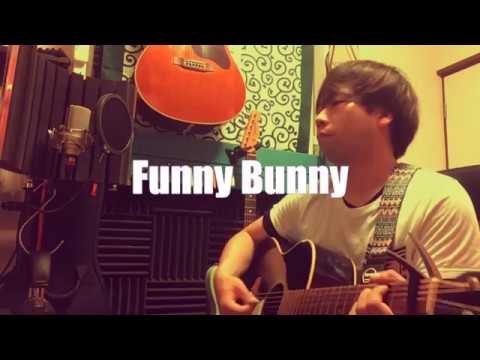 funny-bunny（the-pillows-弾き語りcover）