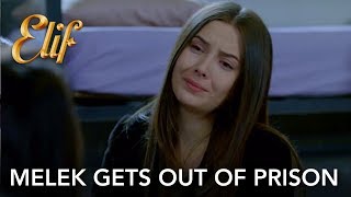 Elif 916. Bölüm | Melek hapisten çıkıyor... (English and Spanish)