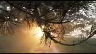 Surat Al Waqiah ayat 1 - 30