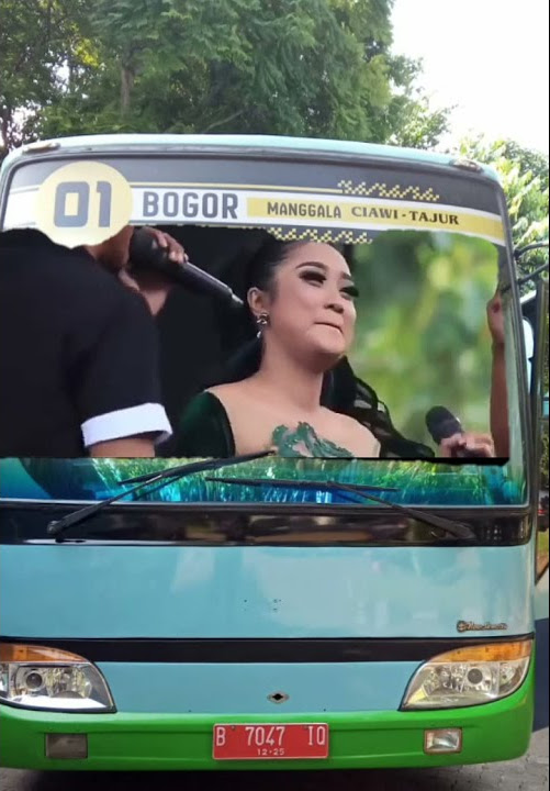 Story wa 30 detik vidio dangdut koplo palapa di kaca bus
