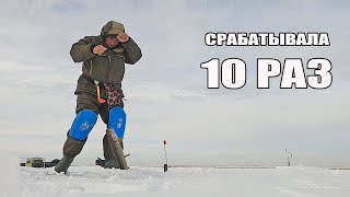Когда жерлица срабатывает десять раз. Рыбалка в Казахстане.