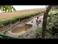 Full video:  30 days of a poor boy catching fish with traps. Fishing traps skills