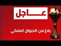 عاجل بلاغ الديوان الملكي بخصوص كأس إفريقيا في المغرب و رسالة للمشهرين و المشككين و المتربصين 