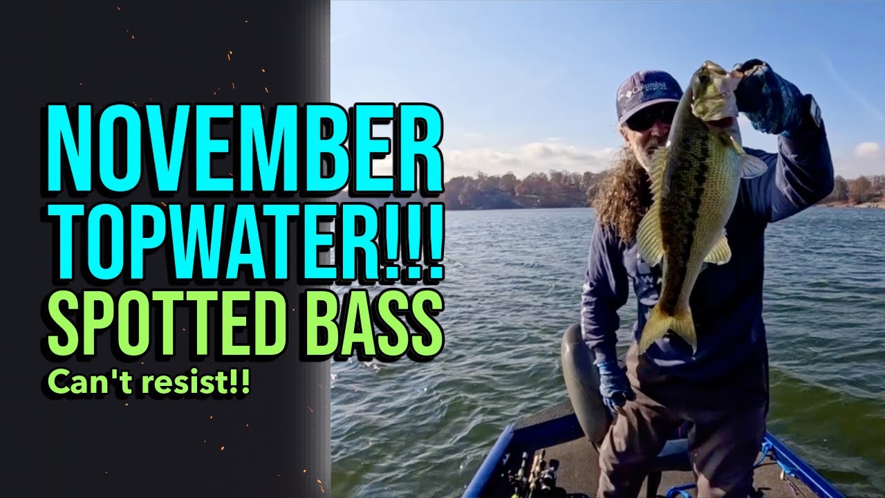 November Topwater!!! Spotted Bass Can't Resist!