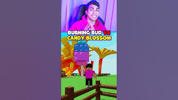 BURNING BUD VS CANDY BLOSSOM GROW A GARDEN 😱