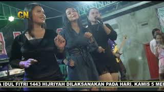 Download Lagu BOCAH KAEN ORGAN DANGDUT CRISSIAN NADA LIVE GEBANG UDUK 05-05-2022 MP3