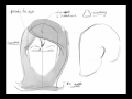How to Draw Hair