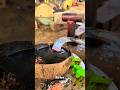 gilding a rubber tapping knife in a coconut shell #coconut #shell #water