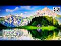 Switzerland Nature Sounds 🏔️🌿 | Relaxing Alpine Scenery for Deep Calm.#SwissAlps#CalmScenery