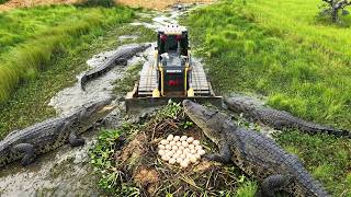 NICELY!! 😱 INCREDIBLE OPERATOR SKILLS! SHANTUI Bulldozer & Dump Trucks Transform Massive Land!