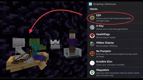 How MCPE Toolbox for iOS with no Jailbreak was Created - Hacks, Editors, and Game Additions!