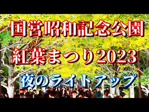 国営昭和記念公園紅葉まつりライトアップ2023  秋の夜散歩