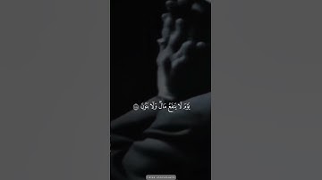 القارئ الشيخ محمد صديق المنشاوي سورة الشعراء #اكسبلور #المصحف #تيك_توك #راحة_نفسية #shortvideo #لايك
