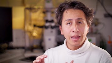 Summary of individual Tunneling Nanotubes (iTNTs)