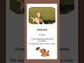 Learn Italian with farm animals 🇮🇹  #italianlanguage #easyitalian #italiano #studyitalian
