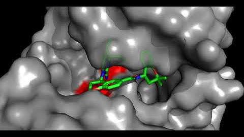 3D visualisation shows how inhibitor WM382 blocks malaria parasites from invading red blood cells