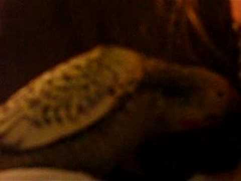 Playing with Mummy's Earring - YouTube