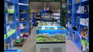 Cùng thăm quan cửa hàng thủy sinh cá cảnh mới của Thủy Sinh Tím tại Hà Nội screenshot 4
