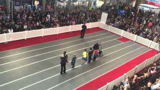 K9 demo 1