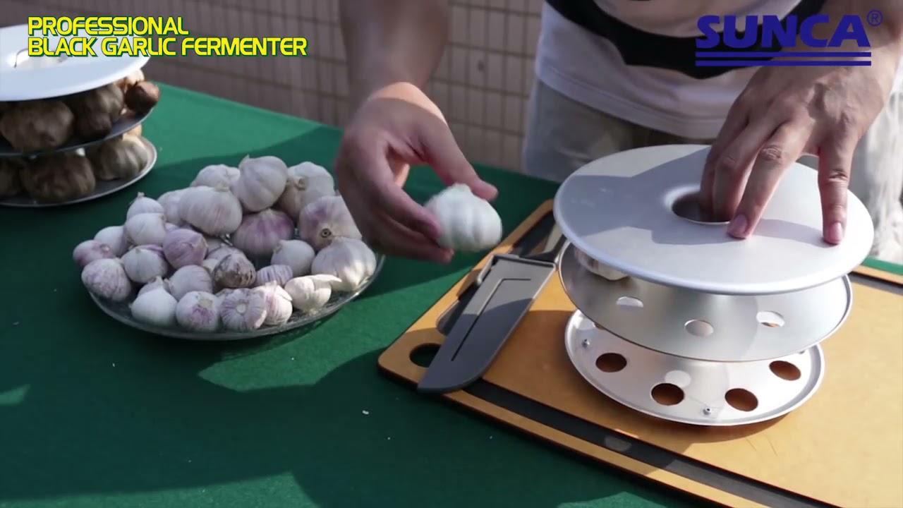 Black Garlic Fermenter