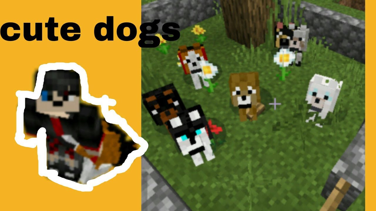 Minecraft cute dogs (addon showcase) YouTube