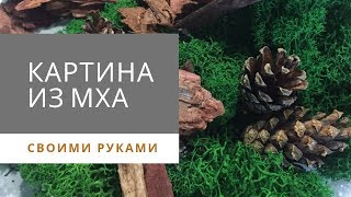 | Картина из стабилизированного мха своими руками |