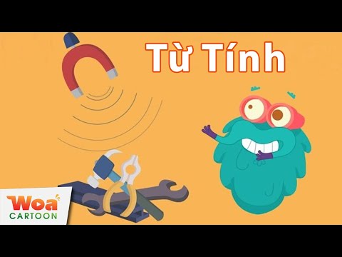 Video: Album ảnh Từ Tính Là Gì