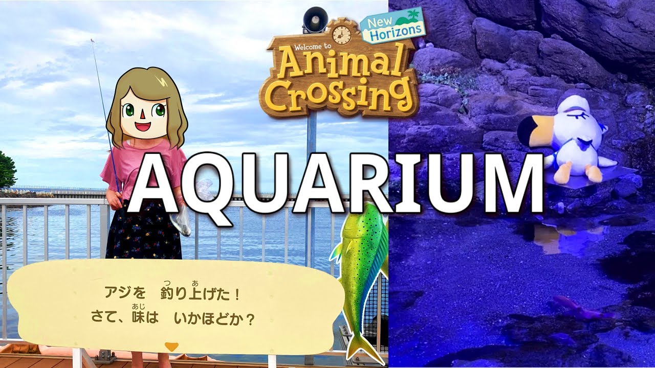 Animal Crossing: New Horizons Is Getting Its Own Aquarium Tour. Real-Life Animal Crossing: New Horizons Aquarium Event! - YouTube
