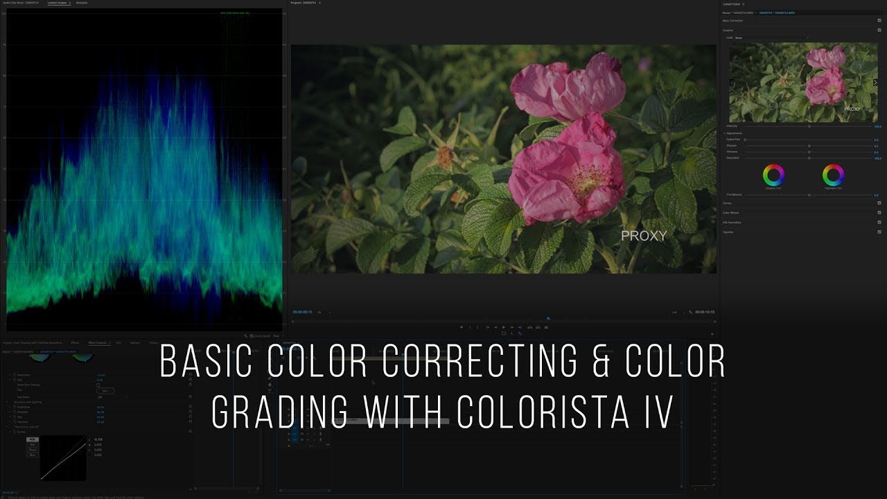 [Tutorial] How To Color Correct & Color Grade Using Colorista IV on ...