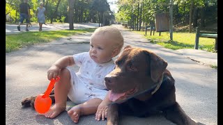 Adorable Baby Boss and His Protector Dog Rule The Street!