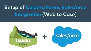 Caldera Forms Salesforce Integration Pro Plugin (Web to Case) | ZetaMatic