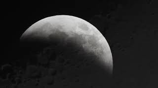 The Moon Mystery - Nikon P1000