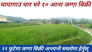 चापागाउमा चार घरेमा जग्गा बिक्री|land sale in Nepal|Ghar Jagga Nepal|Hamro Bazzar.com|Real easted