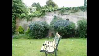 Timelapse Prototype 1 - Fast Rotation to Slow Rotation.