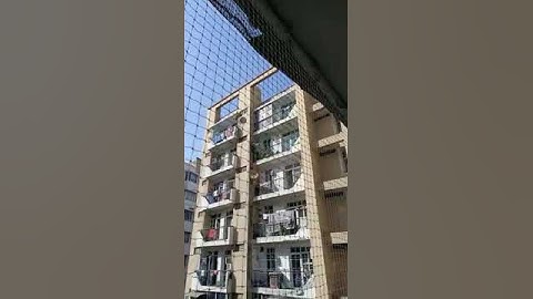#antibirdnet #birdnet helpline 18001024540 | bird netting services, balcony net, pigeon net