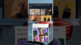 Kapıda Ne Varsa Onunla Çıktım Ben Şfetküsmüyüz Şfetaçıl